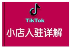 TikTok跨境小店运营全攻略，帮助你独立运营TK跨境小店的能力，实现销量增长-学习笔记资源库