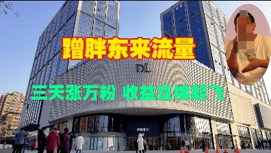 蹭胖东来流量，三天涨万粉，收益直接起飞-学习笔记资源库