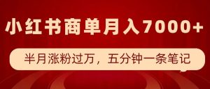 小红书商单最新玩法,半个月涨粉过万,五分钟一条笔记,月入7000+-学习笔记资源库