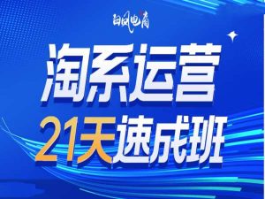 淘系运营21天速成班35期,年前最后一波和2025方向-学习笔记资源库
