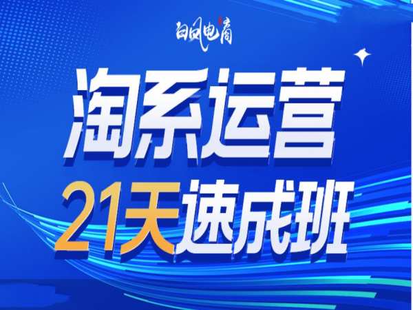 淘系运营21天速成班35期，年前最后一波和2025方向-学习笔记资源库