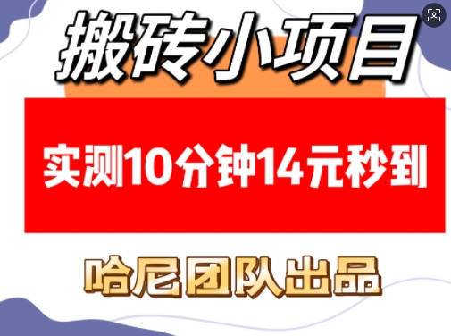 搬砖小项目，实测10分钟14元秒到，每天稳定几张(赠送必看稳定)-学习笔记资源库