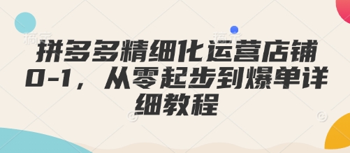拼多多精细化运营店铺0-1，从零起步到爆单详细教程-学习笔记资源库