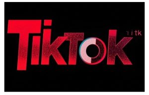 TikTok ads投流秘籍,涵盖tiktok整体投放思路,教你搭建测试计划-学习笔记资源库