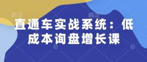直通车实战系统:低成本询盘增长课,让个人通过技能实现升职加薪,让企业低成本获客,订单源源不断-学习笔记资源库