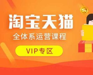 淘宝天猫全体系运营课程：店铺全系运营、动销玩法、付费推广、流量提升、擦边球玩法等等-学习笔记资源库