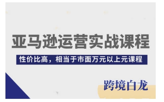 亚马逊运营实战课程，亚马逊从入门到精通，性价比高，相当于市面万元以上元课程-学习笔记资源库
