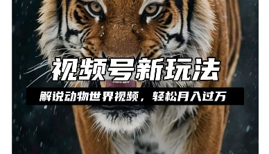 利用动物世界解说视频，赚分成计划收益，轻松月入过W，操作简单【揭秘】-学习笔记资源库
