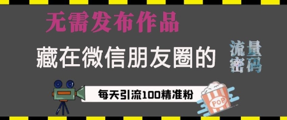 藏在微信朋友圈的流量密码，无需发布作品，单日引流100+精准创业粉【揭秘】-学习笔记资源库