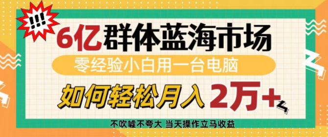 6亿群体蓝海市场，零经验小白用一台电脑，如何轻松月入过w【揭秘】-学习笔记资源库