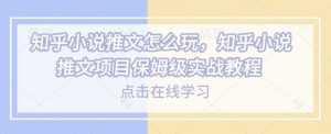 知乎小说推文怎么玩，知乎小说推文项目保姆级实战教程-学习笔记资源库