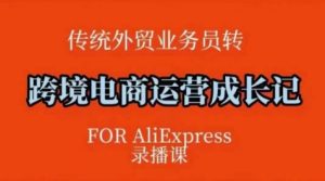 跨境电商速卖通运营课,运营方法论+后台实操,逻辑清晰-学习笔记资源库