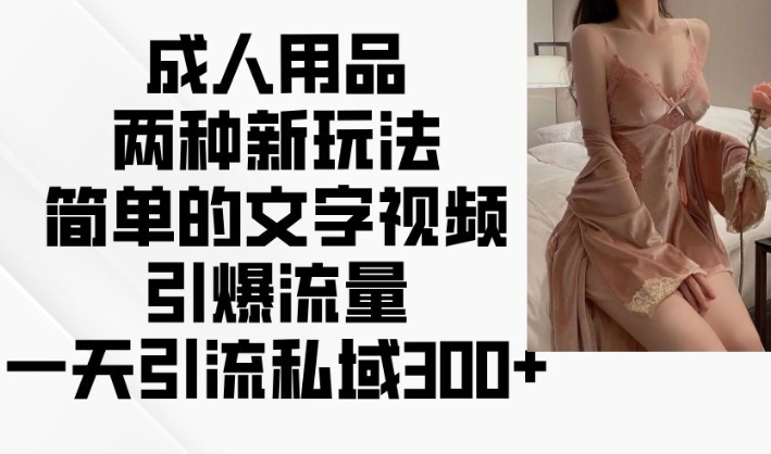 成人用品两种新玩法，简单的文字视频引爆流量，一天引流私域300+-学习笔记资源库