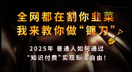 知识付费如何做到月入过W+，2025我来教你做“镰刀”【揭秘】-学习笔记资源库