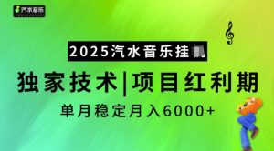 2025汽水音乐挂JI,独家技术,项目红利期,稳定月入5k【揭秘】-学习笔记资源库