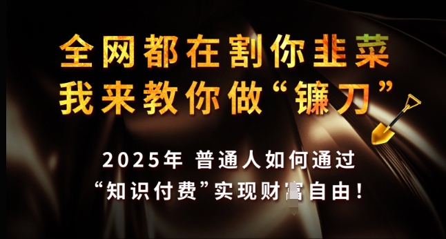 全网都在割你韭菜，我来教你做镰刀，2025年普通人如何通过 知识付费 实现财F自由【揭秘】-学习笔记资源库