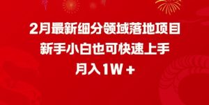 2月最新细分领域落地项目,新手小白也可快速上手,月入1W-学习笔记资源库