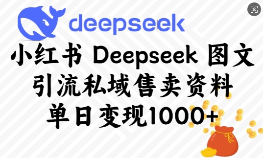 小红书Deepseek图文引流私域售卖资料，单日变现多张-学习笔记资源库