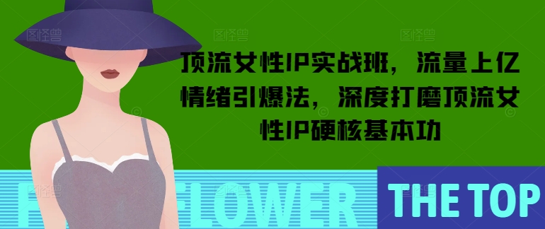 顶流女性IP实战班，流量上亿情绪引爆法，深度打磨顶流女性IP硬核基本功-学习笔记资源库