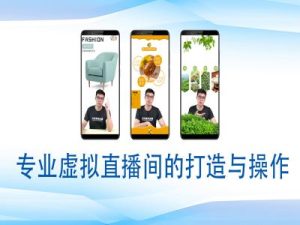 个人虚拟直播间的搭建与操作,专业虚拟直播间的打造与操作-学习笔记资源库
