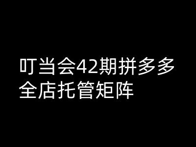 叮当会拼多多打爆班原创高阶技术第42期，拼多多全店托管矩阵-学习笔记资源库