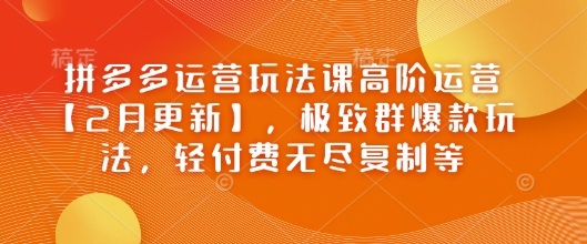 拼多多运营玩法课高阶运营【2月更新】，极致群爆款玩法，轻付费无尽复制等-学习笔记资源库