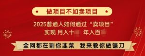 必看,做项目不如卖项目,2025普通人如何通过“卖项目”实现月入十个,年入百个-学习笔记资源库