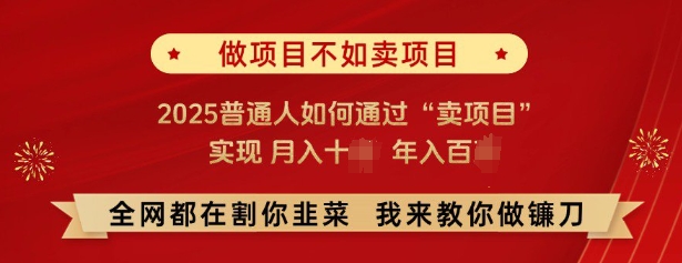 必看，做项目不如卖项目，2025普通人如何通过“卖项目”实现月入十个，年入百个-学习笔记资源库