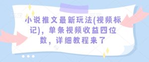 小说推文最新玩法(视频标记)，单条视频收益四位数，详细教程来了-学习笔记资源库