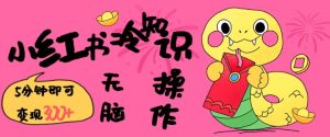 小红书冷知识账号,无脑复制粘贴,5分钟即可变现3张-学习笔记资源库
