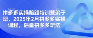 拼多多实操陪跑特训营弟子班,2025年2月拼多多实操课程,海量拼多多玩法-学习笔记资源库
