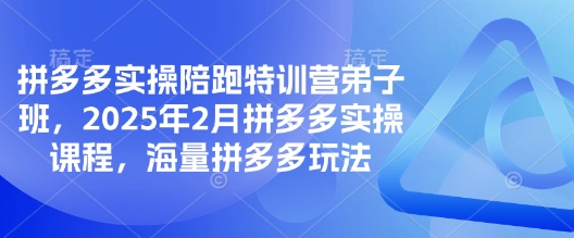 拼多多实操陪跑特训营弟子班，2025年2月拼多多实操课程，海量拼多多玩法-学习笔记资源库