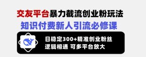交友平台暴力截流创业粉玩法,知识付费新人引流必修课,日稳定300+精准创业粉丝,逻辑相通可多平台放大-学习笔记资源库