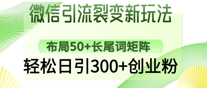 微信引流裂变新玩法：布局50+长尾词矩阵，轻松日引300+创业粉-学习笔记资源库