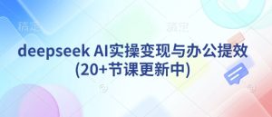 deepseek AI实操变现与办公提效(20+节课更新中)-学习笔记资源库