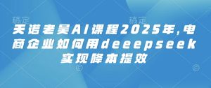 天诺老吴AI课程2025年,电商企业如何用deeepseek实现降本提效-学习笔记资源库