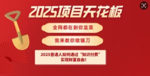 2025项目天花板普通人如何通过知识付费,实现财F自由【揭秘】-学习笔记资源库