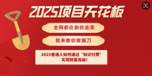2025项目天花板普通人如何通过知识付费，实现财F自由【揭秘】-学习笔记资源库
