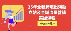 25年全新跨境出海独立站及全域流量营销实操课程,跨境电商独立站TIKTOK全域营销普货特货玩法大全-学习笔记资源库