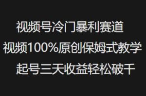 视频号冷门暴利赛道视频100%原创保姆式教学起号三天收益轻松破千-学习笔记资源库