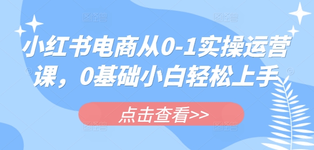 小红书电商从0-1实操运营课，0基础小白轻松上手-学习笔记资源库