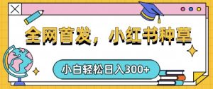 小红书种草,手机项目,日入3张,复制黏贴即可,可矩阵操作,动手不动脑【揭秘】-学习笔记资源库