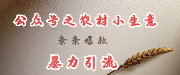 deepseek写农村小项目，条条爆款，暴力引流-学习笔记资源库