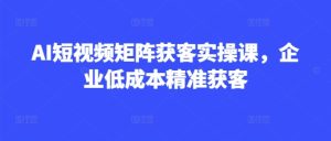 AI短视频矩阵获客实操课,企业低成本精准获客-学习笔记资源库