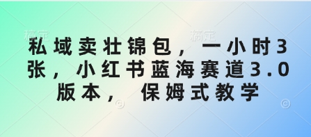 私域卖壮锦包，一小时3张，小红书蓝海赛道3.0版本， 保姆式教学-学习笔记资源库