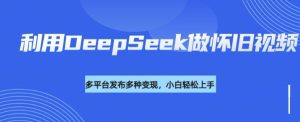 利用DeepSeek做怀旧视频,流量号多渠道变现能力强-学习笔记资源库