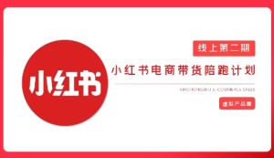 2025小红书虚拟电商实战课,从0到1打造无货源店铺,AI+爆款笔记轻松变现-学习笔记资源库