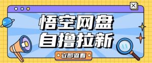 全网首发悟空网盘云真机自撸拉新项目玩法单机可挣10.20不等-学习笔记资源库