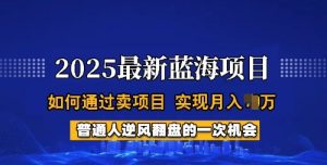 2025蓝海项目,普通人如何通过卖项目,实现月入过W,全过程【揭秘】-学习笔记资源库