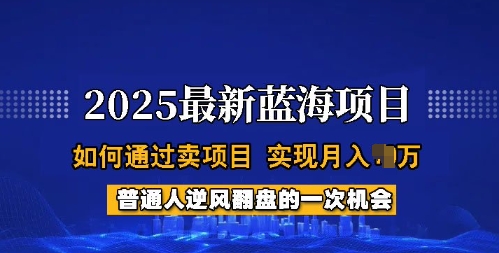 2025蓝海项目，普通人如何通过卖项目，实现月入过W，全过程【揭秘】-学习笔记资源库
